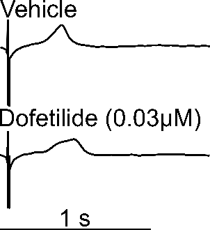 Dofetilide 0.03 µM effect on field potential, 2D MEA