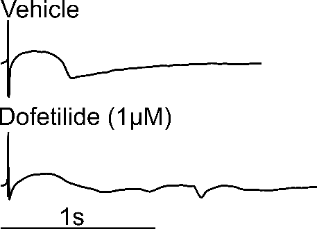 Dofetilide 1 µM effect on field potential, 2D MEA