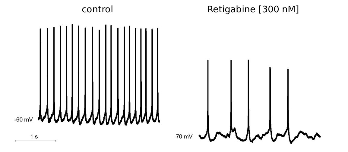 Retigabine Effect on Firing