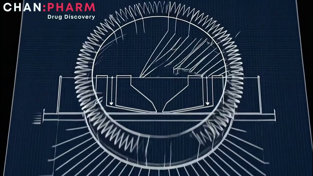 SphereChip method &mdash; video presentation